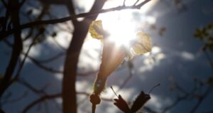 Leia mais sobre o artigo Quarta-feira começa gelada e termina com calor de até 32°C em Mato Grosso do Sul