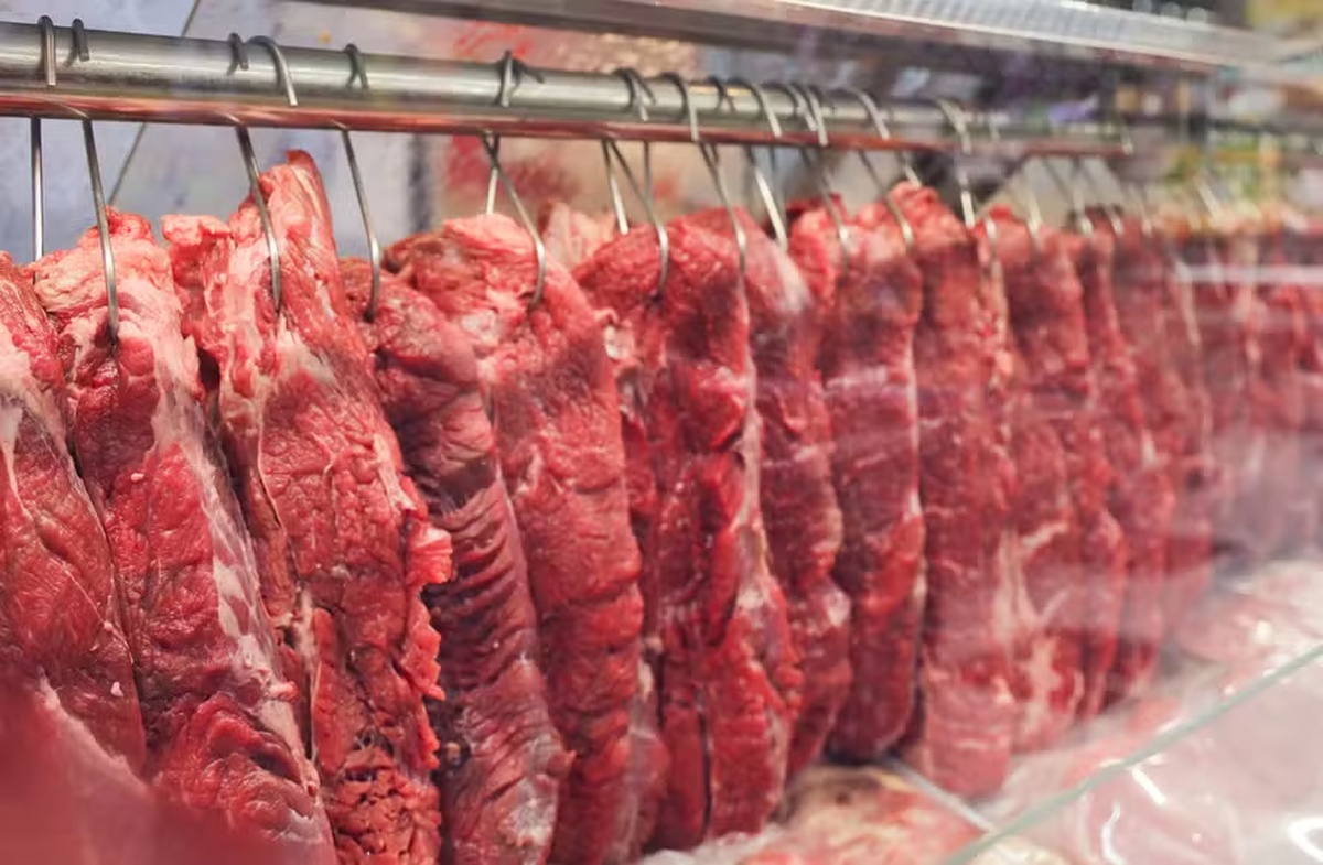 No momento, você está visualizando UNIÃO EUROPEIA: Entenda a polêmica sobre o uso de antibióticos na produção de carnes