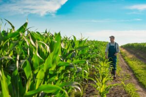 Leia mais sobre o artigo Agro concentra 40% dos recursos do primeiro Brasil Soberano, com foco em alimentos e comércio