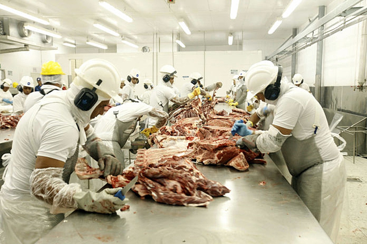 No momento, você está visualizando Brasil adota novas regras para exportação de carne à UE