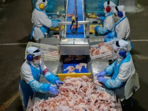 Leia mais sobre o artigo Exportações de frango do Brasil podem alcançar 5,87 milhões de toneladas em 2026