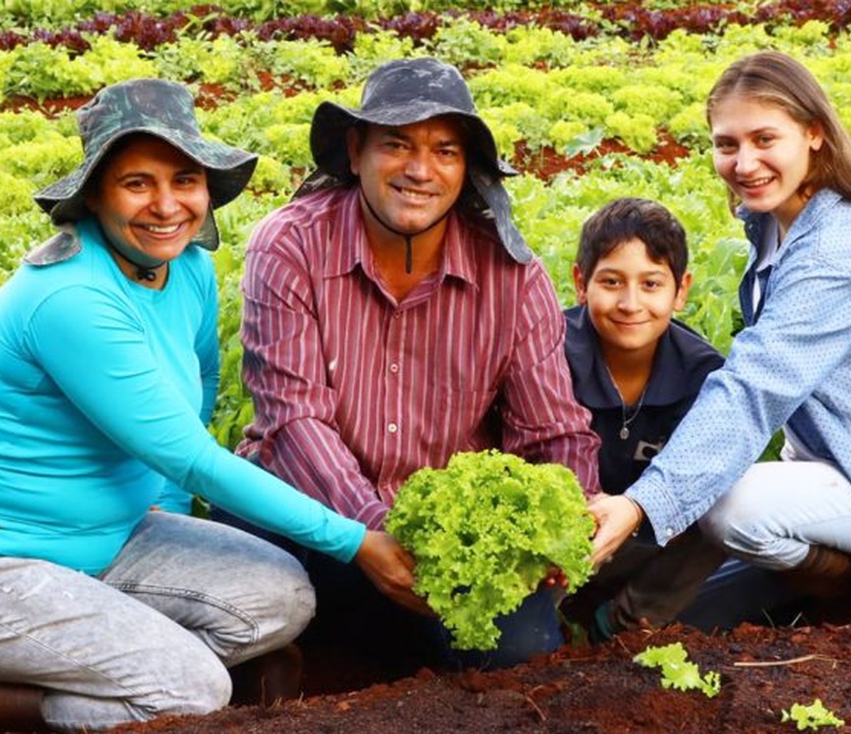 No momento, você está visualizando Finep vai pagar R$ 220 milhões para inovações em agricultura familiar