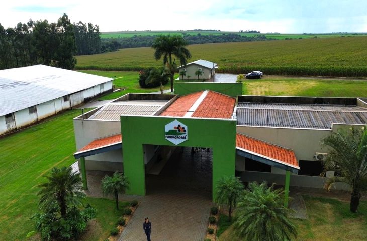 No momento, você está visualizando DA PESQUISA À LAVOURA: Fundação MS transforma ciência em decisões mais seguras para o agro