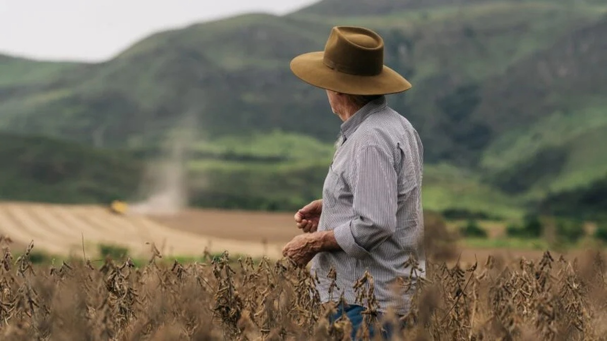 No momento, você está visualizando Inadimplência no agro brasileiro sobe para 8,8%, maior patamar da série histórica
