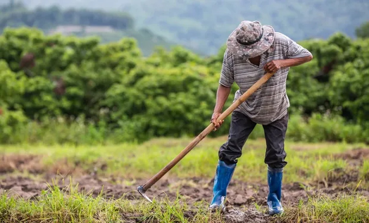 No momento, você está visualizando Inadimplência no crédito rural volta a se aproximar de recorde