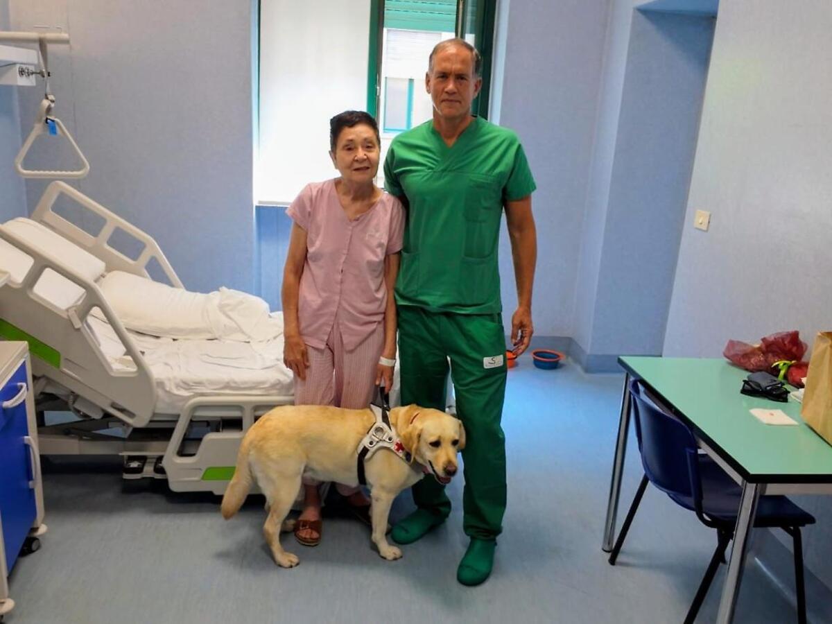 No momento, você está visualizando Itália registra primeiro transplante de mácula que devolve a visão a idosa de 67 anos