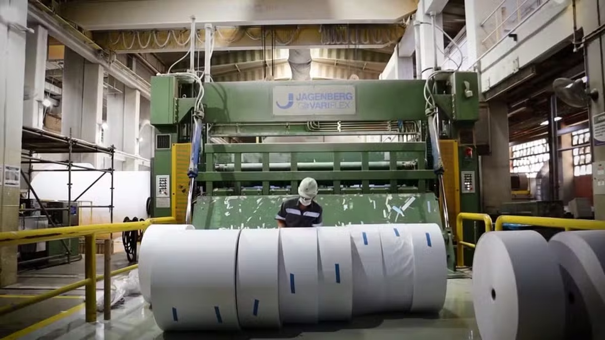 No momento, você está visualizando Novo tarifaço atinge quase 25% do setor de papel e celulose brasileiro