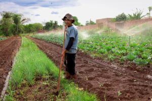 Leia mais sobre o artigo Novo programa de Campo Grande liga agricultura familiar ao combate à fome