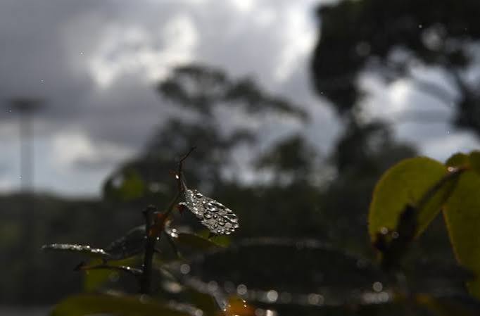 No momento, você está visualizando Tempo em transição com risco de chuva em MS
