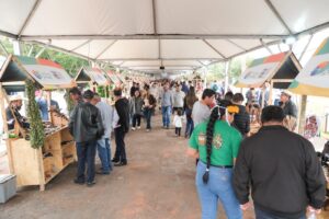 Leia mais sobre o artigo Com capacitação e vitrine de negócios, Pantanal Tech fortalece economia criativa e agricultura familiar de MS