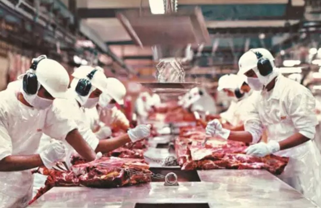 No momento, você está visualizando Principais produtos exportados por MS aos EUA escapam do tarifaço de Trump