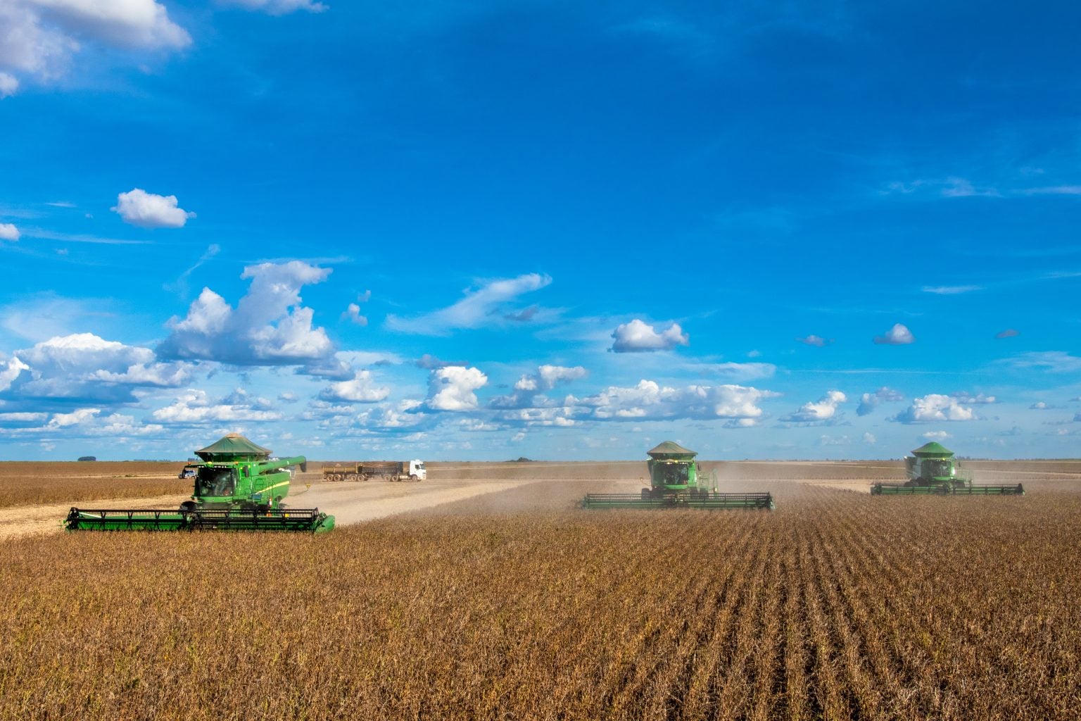 No momento, você está visualizando Tarifas dos EUA ao Canadá podem mudar o jogo para o agro brasileiro