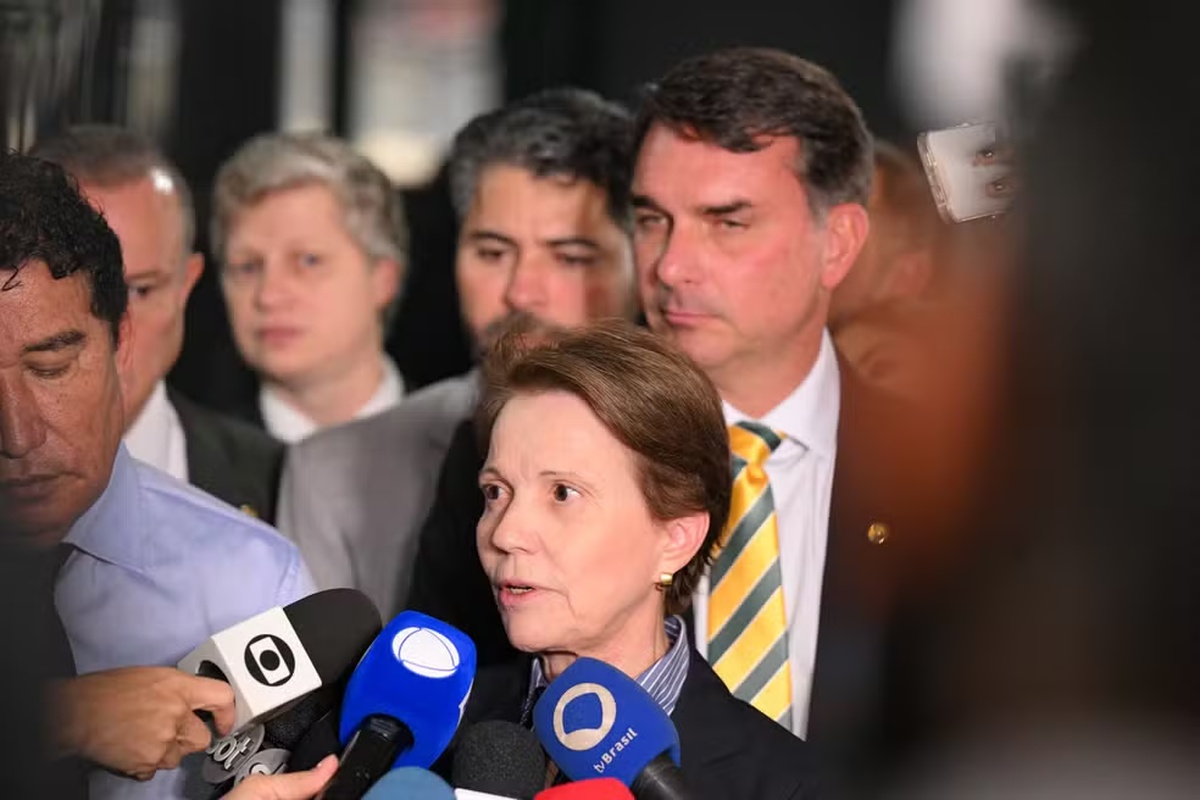 No momento, você está visualizando ELEIÇÕES 2026: Apesar do veto do PP, Tereza Cristina afirma que ainda pode ser vice de Flávio Bolsonaro
