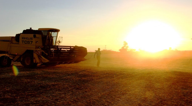 No momento, você está visualizando MS terá calor de até 42°C e umidade pode cair a 10% até segunda-feira