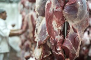 Leia mais sobre o artigo Exportações de carne bovina crescem 47,9% e se aproximam da celulose em MS