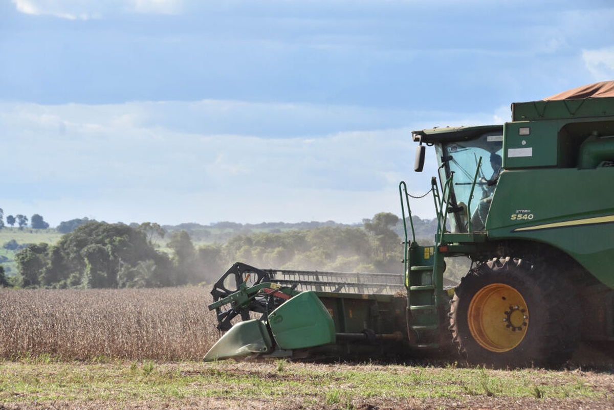 No momento, você está visualizando China se consolida como maior parceiro comercial do agro de MS