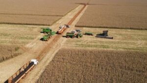Leia mais sobre o artigo Colheita do milho 2ª safra atinge cerca de 1,66 milhão de hectares em MS