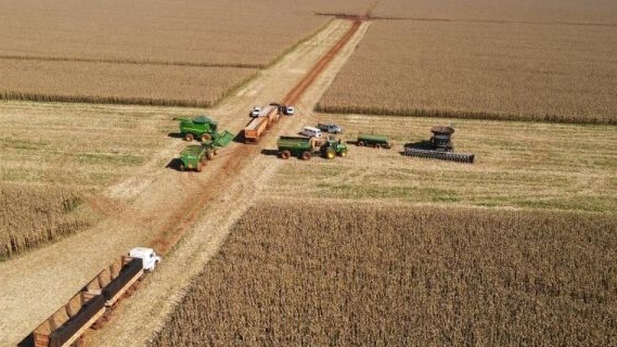 No momento, você está visualizando Colheita do milho 2ª safra atinge cerca de 1,66 milhão de hectares em MS