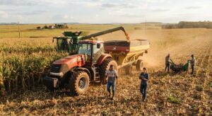 Leia mais sobre o artigo LEI DO BEM: Empresas do agro têm até 31 de agosto para reduzir impostos