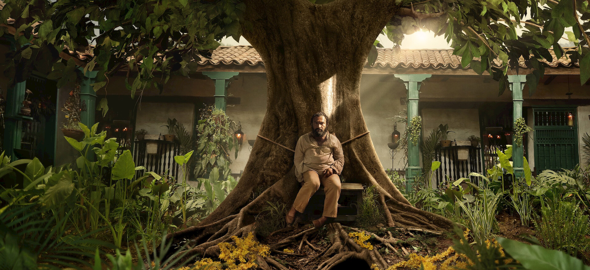 netflix-lancamentos-da-semana-3-a-9-de-agosto