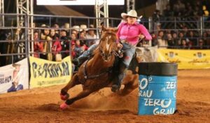 Leia mais sobre o artigo 4ª Expoequestre começa nesta quarta-feira em Campo Grande com provas e atividades voltadas a cultura do cavalo