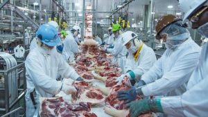 Leia mais sobre o artigo Brasil cobra solução e ameaça reciprocidade contra UE por carnes