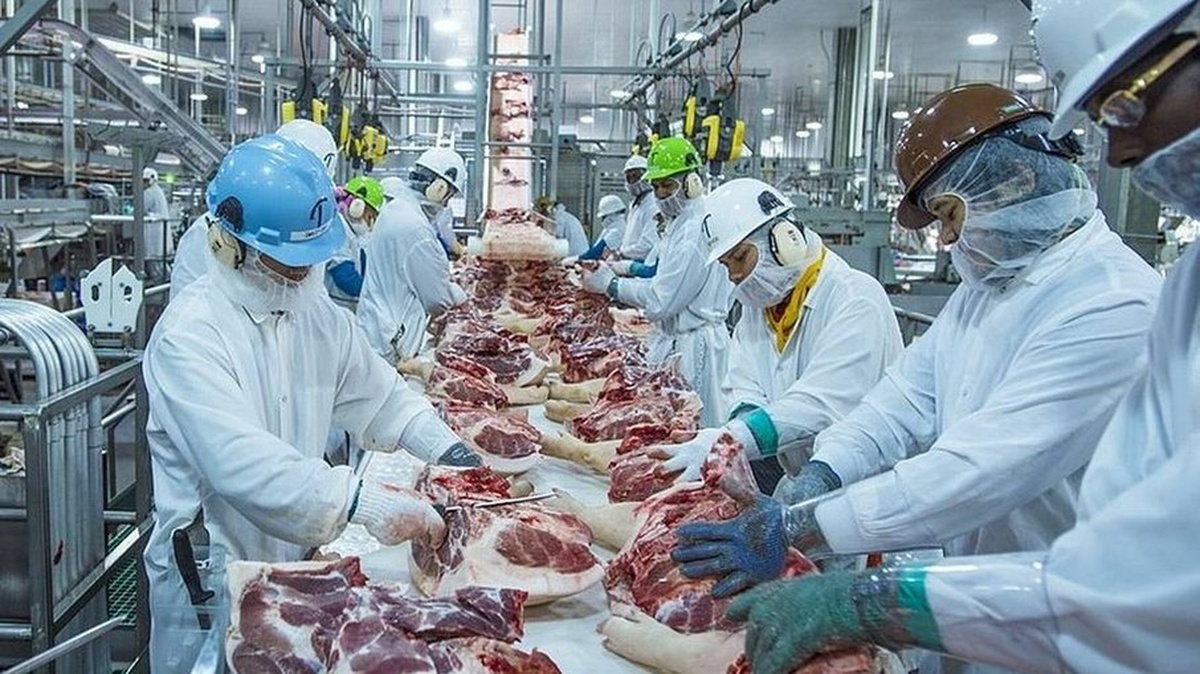 No momento, você está visualizando Brasil cobra solução e ameaça reciprocidade contra UE por carnes