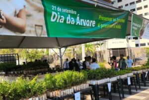 Leia mais sobre o artigo Campo Grande vai distribuir 10 mil mudas frutíferas de graça neste sábado (26)