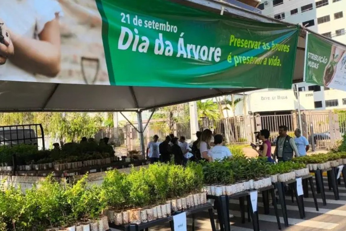 No momento, você está visualizando Campo Grande vai distribuir 10 mil mudas frutíferas de graça neste sábado (26)