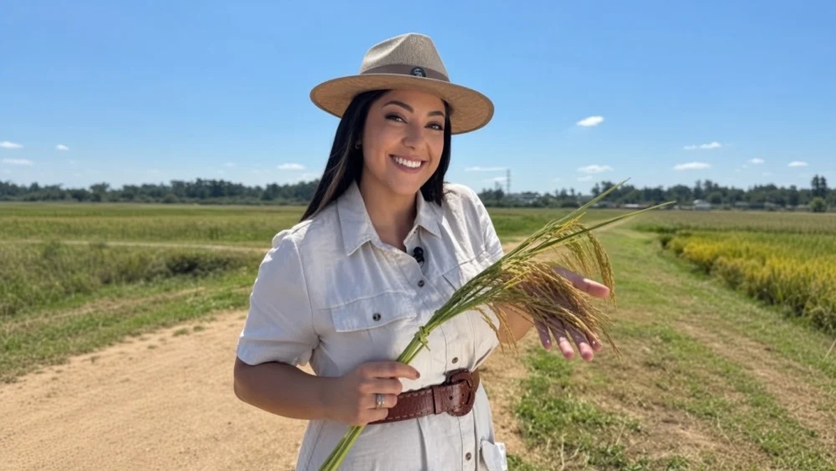 No momento, você está visualizando ENTRE NÓS EXPERIENCE: Campo Grande recebe evento sobre agronegócio