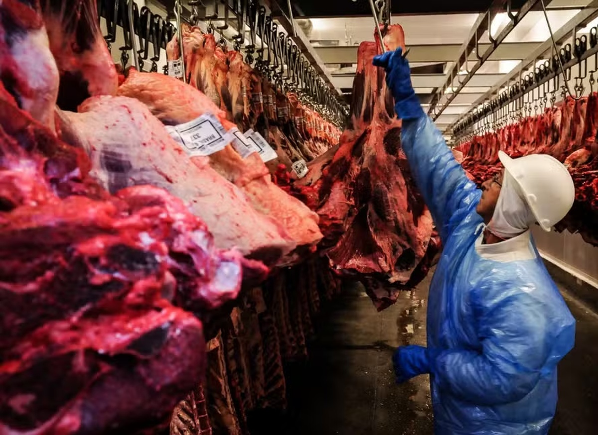 No momento, você está visualizando Exportações de carne bovina caem 22% em agosto ante mesmo mês em 2025