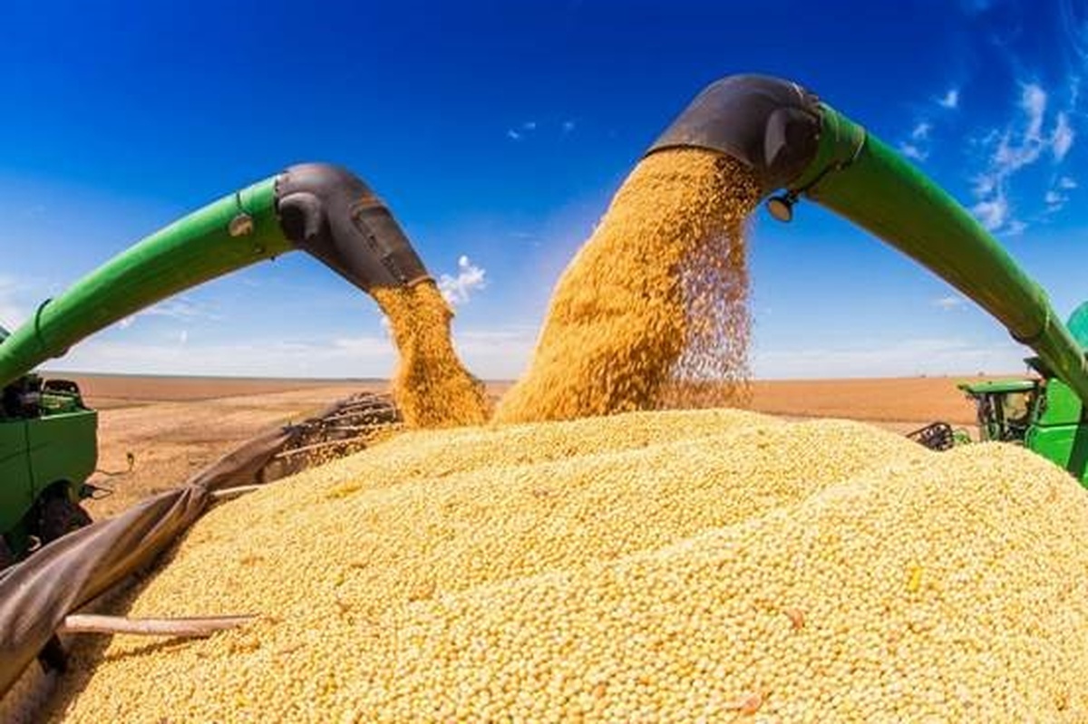 No momento, você está visualizando Fim da Moratória da Soja pode custar US$ 8,2 bilhões ao Brasil, estima WWF