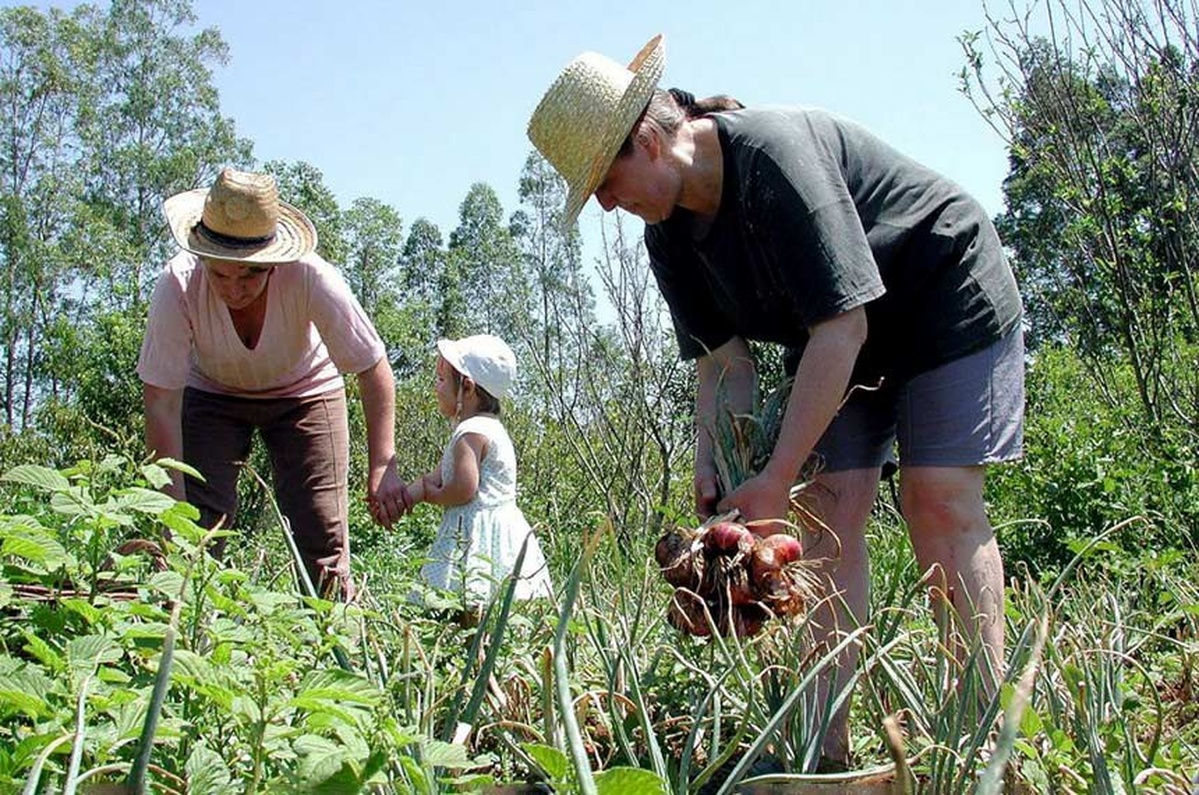 No momento, você está visualizando Governo publica MP com crédito extraordinário para a agricultura familiar