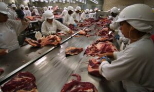 Leia mais sobre o artigo HOJE: UE começa a restringir entrada de carnes do Brasil; veja o impacto