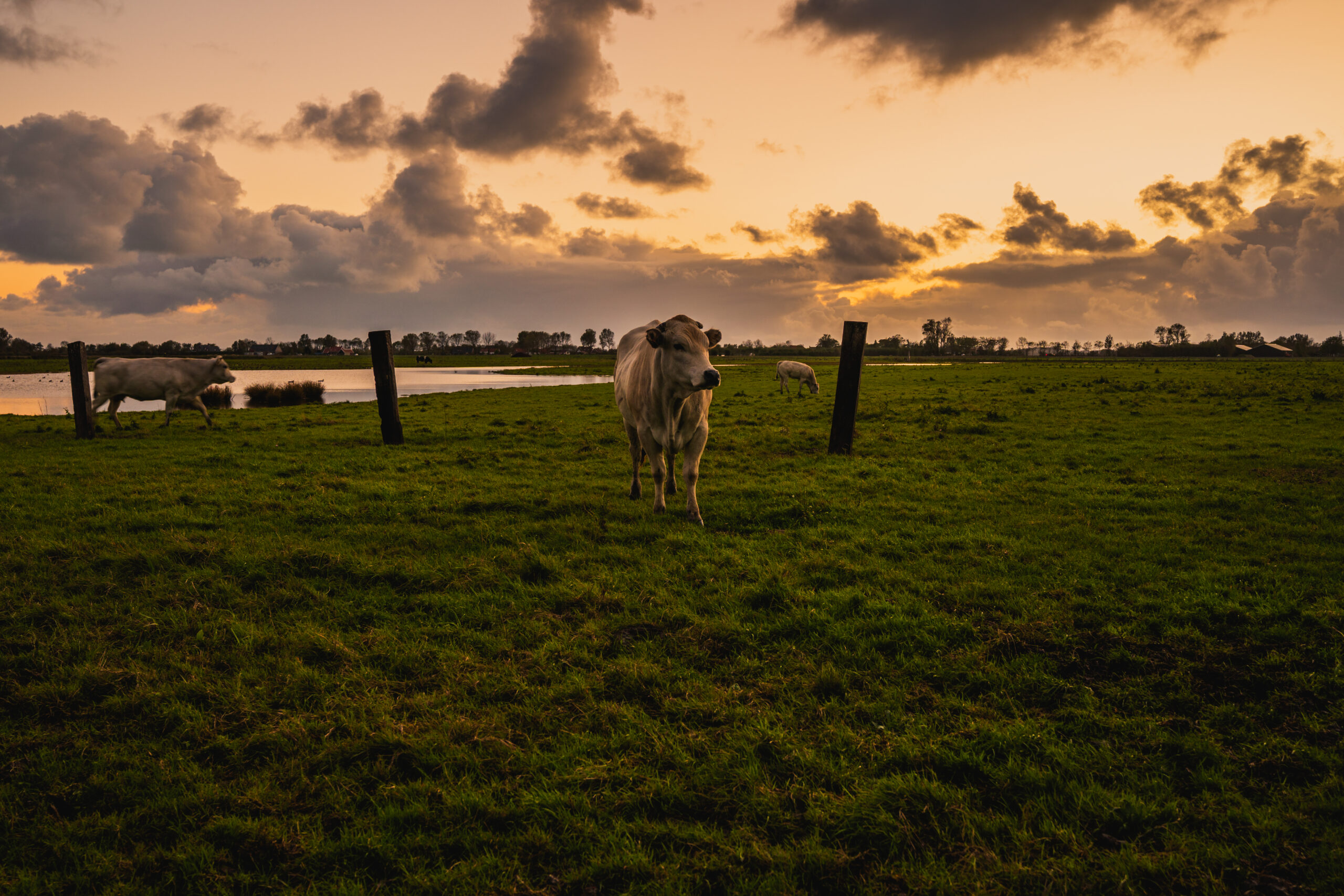 No momento, você está visualizando Incra autoriza compra de fazenda de 713 hectares em Naviraí para reforma agrária