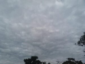 Leia mais sobre o artigo Campo Grande terá terça-feira nublada e com chance de chuva