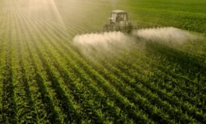 Leia mais sobre o artigo Uso de bioinsumos pode reduzir impactos da seca nas lavouras