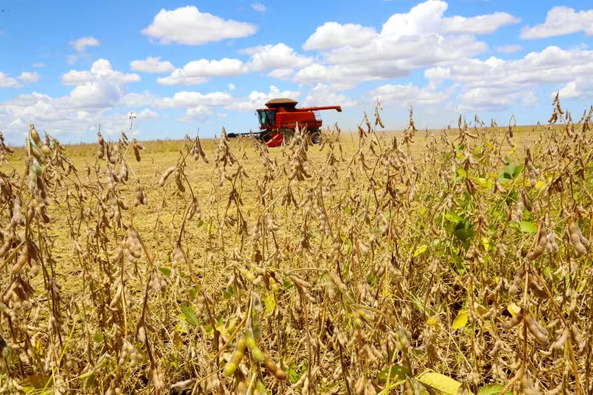 No momento, você está visualizando Valor bruto da produção agropecuária atingiu R$ 1,4 trilhão em agosto