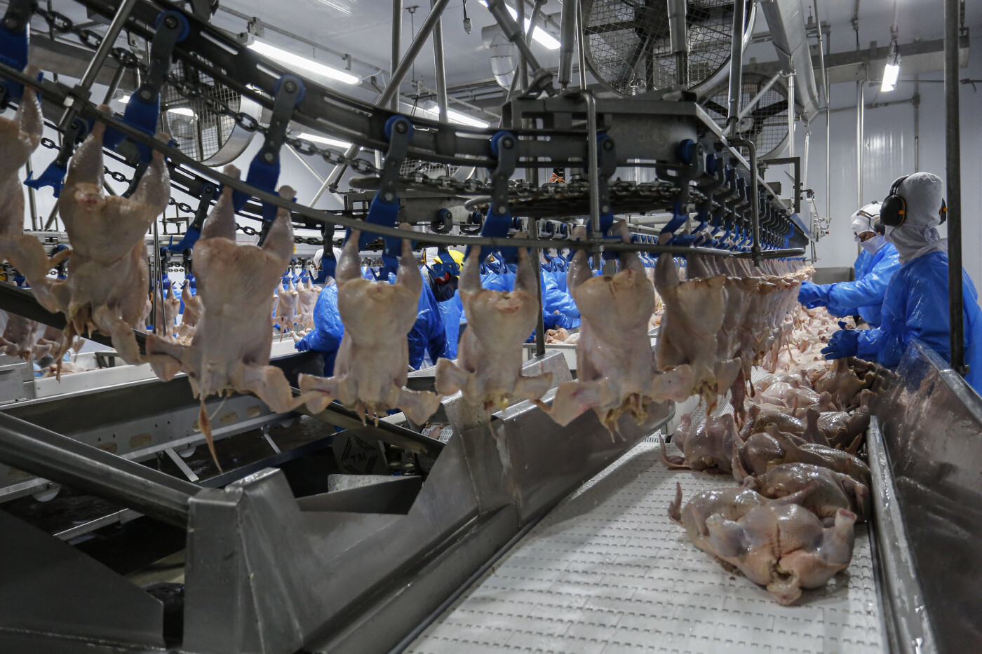 No momento, você está visualizando Brasil-Europa: Negócios na SIAL Paris já consideram retomada das vendas de frango à UE
