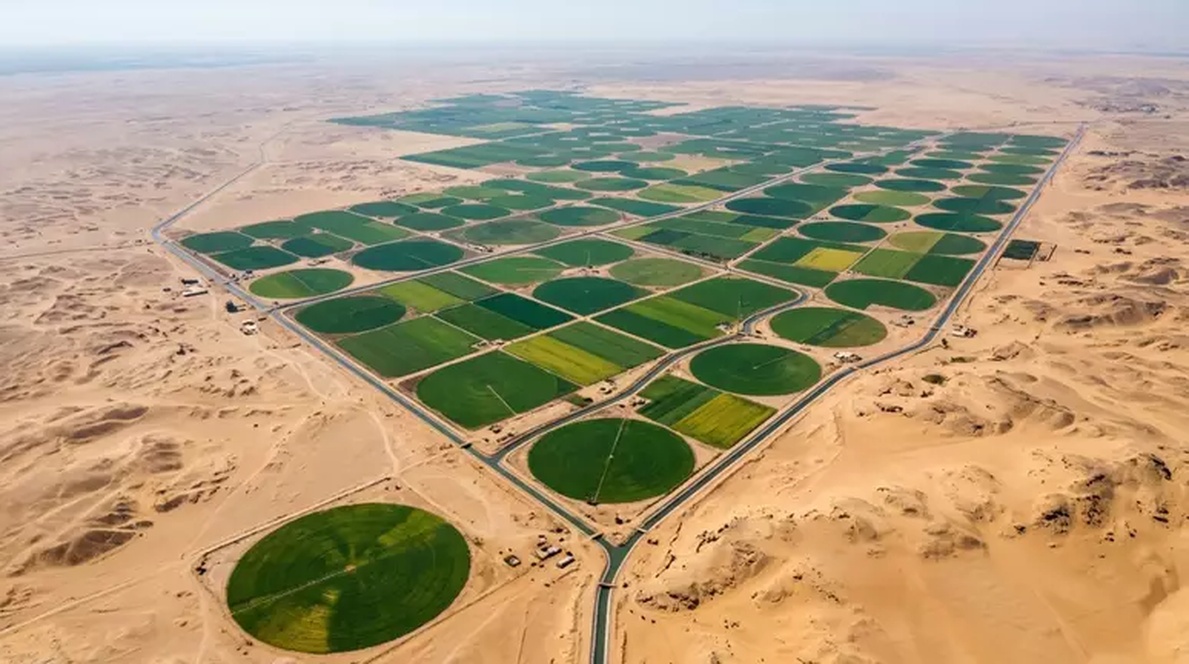No momento, você está visualizando O Egito está convertendo milhões de hectares de deserto em terras agrícolas utilizando água reciclada