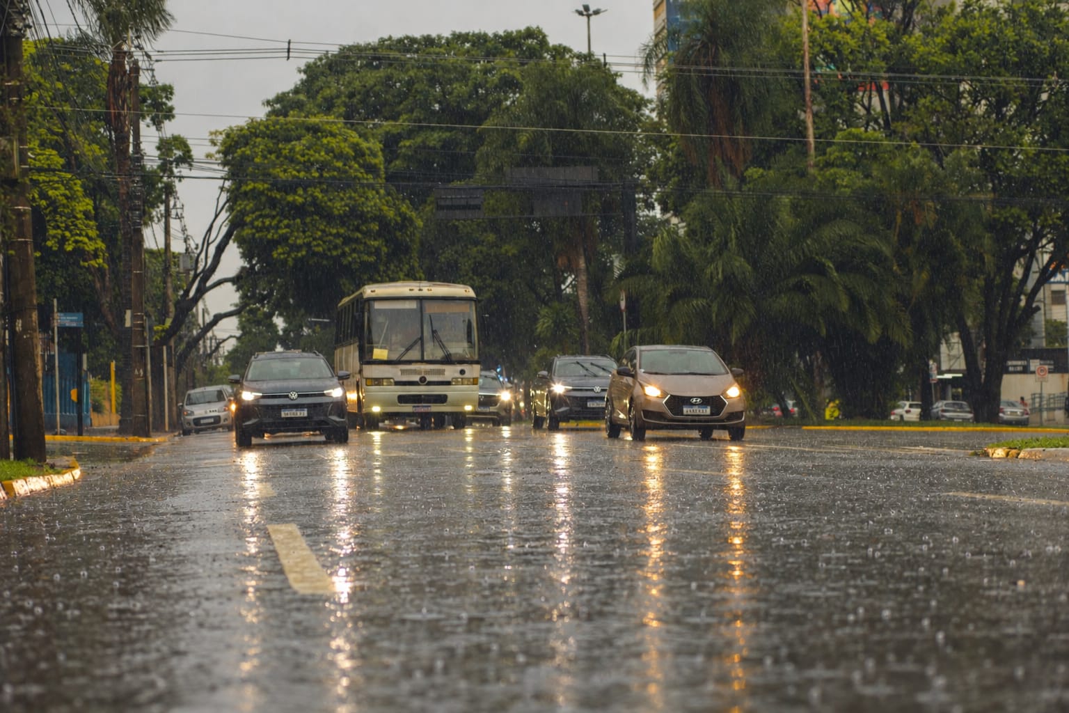 No momento, você está visualizando Chuva volta a Mato Grosso do Sul com risco de temporais e ventos de 70 km/h