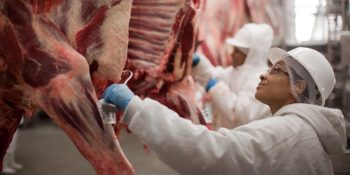 abiec-alerta-para-impacto-negativo-em-carnes-devido-a-tarifa
