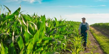 agro-reune-40-dos-recursos-do-primeiro-brasil-soberano