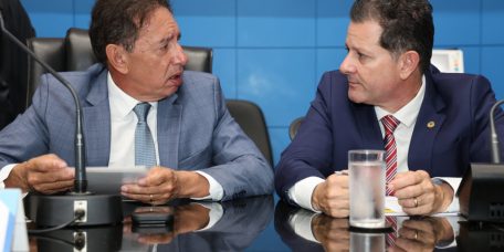 alems-instituiu-semana-valorizacao-pantanal