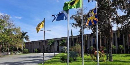 alems-publica-protocolo-todosporelas-educacao