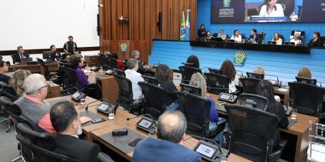 alems-sedia-seminario-defesa-direitos-pessoa-idosa