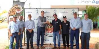 amendoim-atrai-investimentos-ms