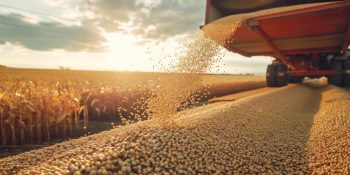 anec-eleva-projecoes-de-exportacao-de-soja-e-milho-em-novembro