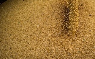 brasil-amplia-acesso-produtos-agropecuarios-exterior