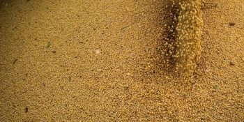 brasil-amplia-acesso-produtos-agropecuarios-exterior